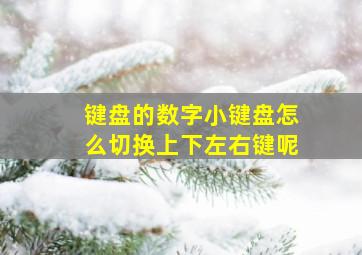 键盘的数字小键盘怎么切换上下左右键呢