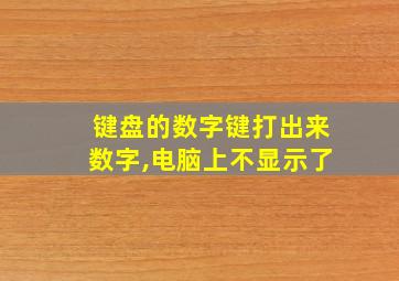 键盘的数字键打出来数字,电脑上不显示了