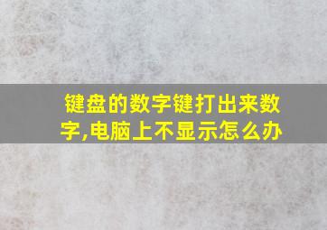 键盘的数字键打出来数字,电脑上不显示怎么办