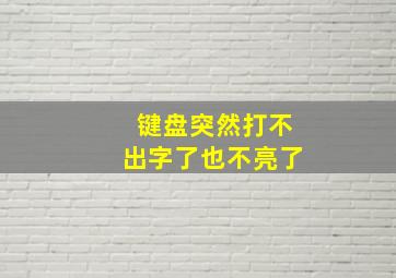 键盘突然打不出字了也不亮了