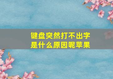 键盘突然打不出字是什么原因呢苹果