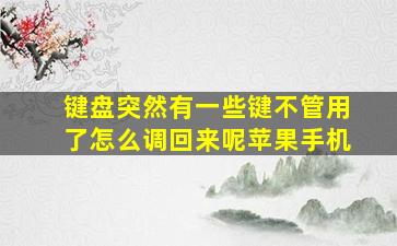 键盘突然有一些键不管用了怎么调回来呢苹果手机