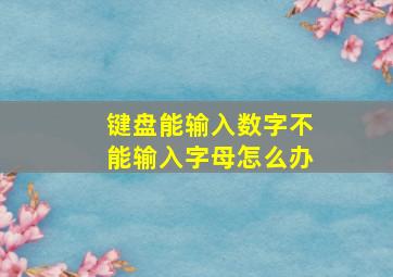 键盘能输入数字不能输入字母怎么办