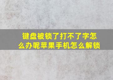 键盘被锁了打不了字怎么办呢苹果手机怎么解锁