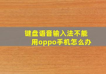 键盘语音输入法不能用oppo手机怎么办