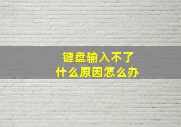 键盘输入不了什么原因怎么办