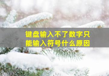 键盘输入不了数字只能输入符号什么原因