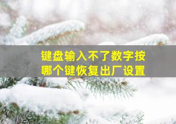 键盘输入不了数字按哪个键恢复出厂设置