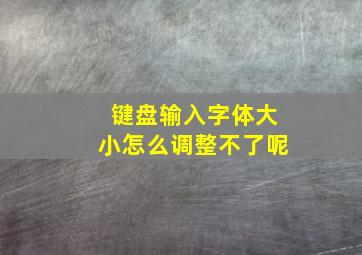 键盘输入字体大小怎么调整不了呢