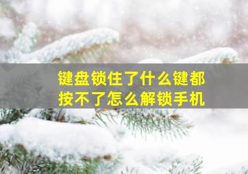 键盘锁住了什么键都按不了怎么解锁手机