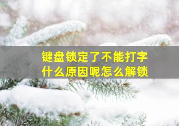 键盘锁定了不能打字什么原因呢怎么解锁