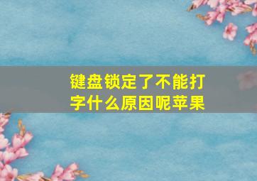 键盘锁定了不能打字什么原因呢苹果