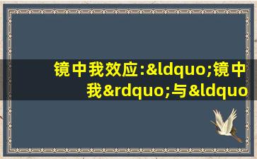 镜中我效应:“镜中我”与“真的我”