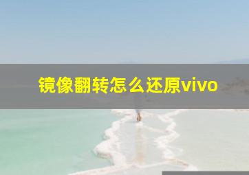 镜像翻转怎么还原vivo