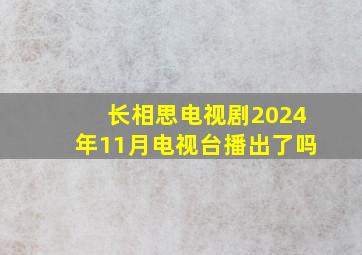 长相思电视剧2024年11月电视台播出了吗