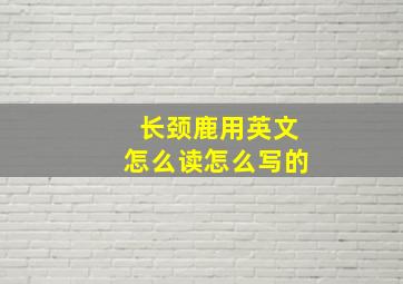 长颈鹿用英文怎么读怎么写的