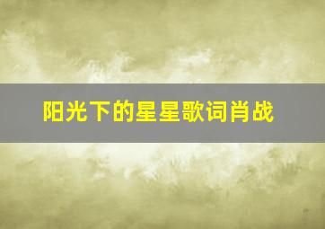 阳光下的星星歌词肖战