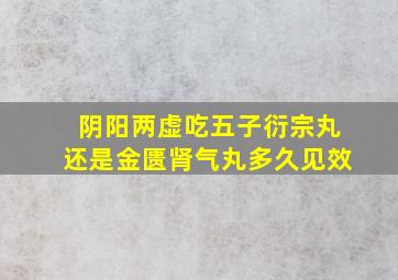 阴阳两虚吃五子衍宗丸还是金匮肾气丸多久见效