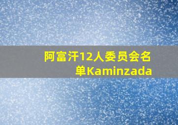 阿富汗12人委员会名单Kaminzada