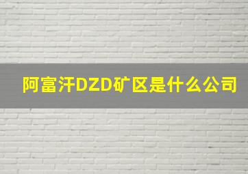 阿富汗DZD矿区是什么公司