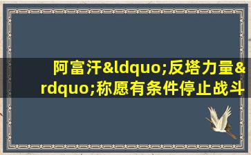 阿富汗“反塔力量”称愿有条件停止战斗