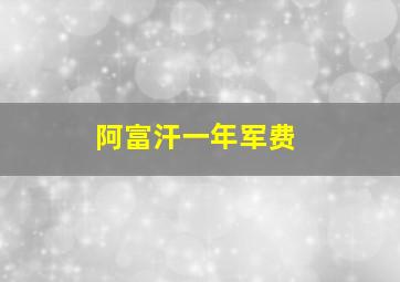 阿富汗一年军费