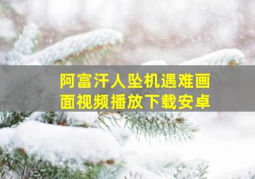 阿富汗人坠机遇难画面视频播放下载安卓