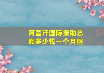 阿富汗国际援助总额多少钱一个月啊