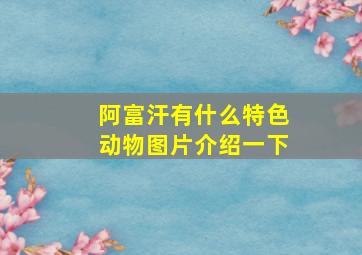 阿富汗有什么特色动物图片介绍一下