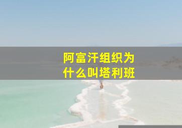 阿富汗组织为什么叫塔利班