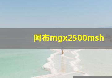 阿布mgx2500msh