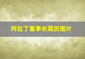 阿拉丁董事长简历图片