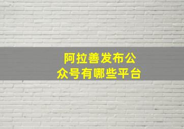 阿拉善发布公众号有哪些平台