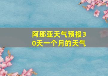 阿那亚天气预报30天一个月的天气