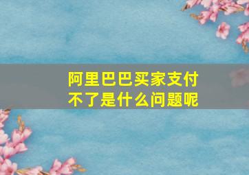 阿里巴巴买家支付不了是什么问题呢