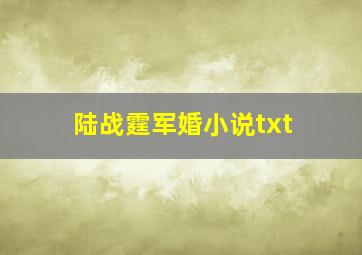 陆战霆军婚小说txt