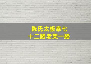 陈氏太极拳七十二路老架一路