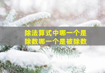 除法算式中哪一个是除数哪一个是被除数