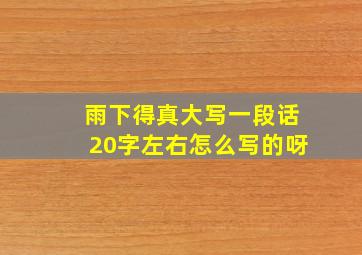 雨下得真大写一段话20字左右怎么写的呀