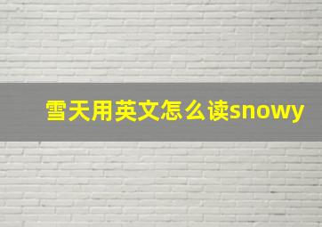 雪天用英文怎么读snowy