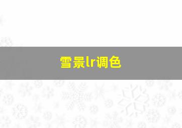 雪景lr调色