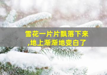 雪花一片片飘落下来,地上渐渐地变白了