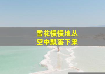 雪花慢慢地从空中飘落下来