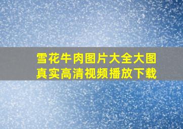 雪花牛肉图片大全大图真实高清视频播放下载