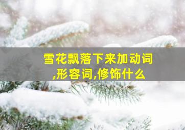 雪花飘落下来加动词,形容词,修饰什么