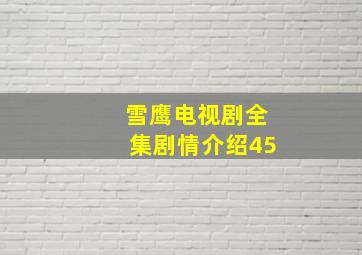 雪鹰电视剧全集剧情介绍45