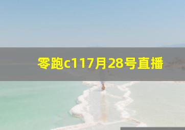 零跑c117月28号直播