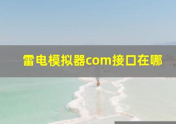 雷电模拟器com接口在哪