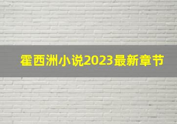 霍西洲小说2023最新章节