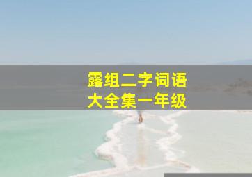 露组二字词语大全集一年级